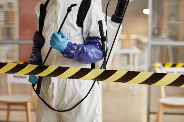 Professional Sewage Cleanup technician working in Plymouth, MI